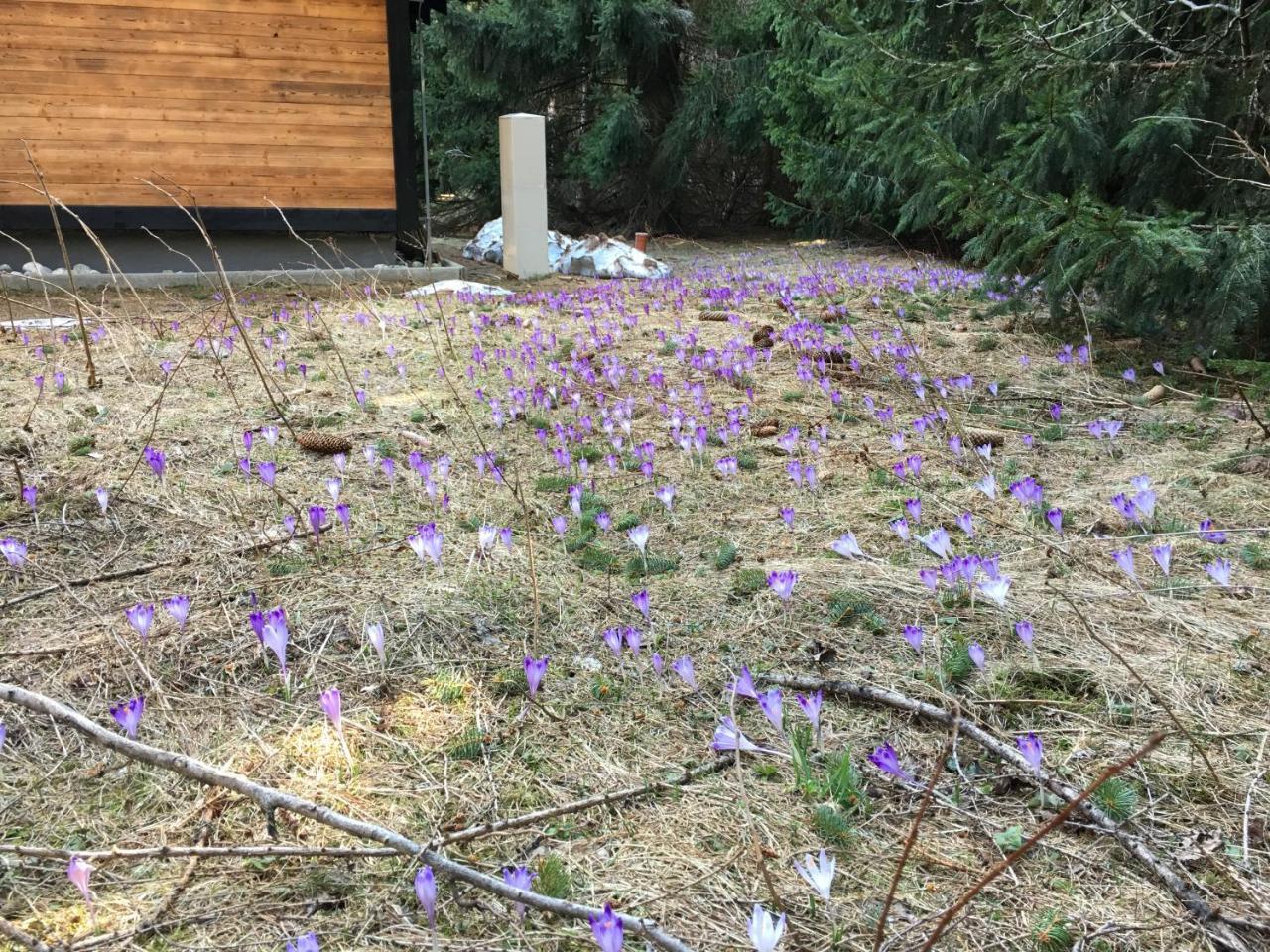 Chalet Rackova Dolina Przybylina Zewnętrze zdjęcie