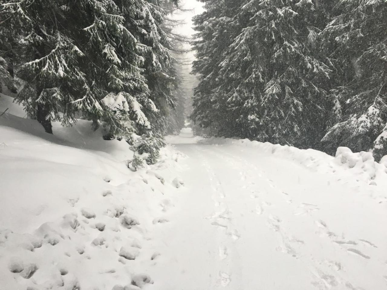 Chalet Rackova Dolina Przybylina Zewnętrze zdjęcie