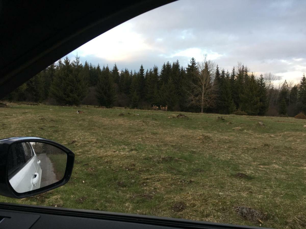 Chalet Rackova Dolina Przybylina Zewnętrze zdjęcie